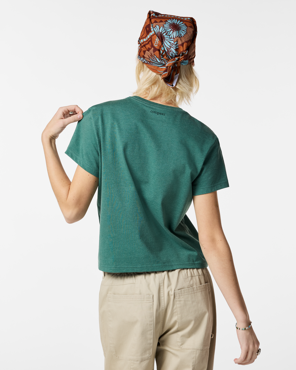 Llama Icon T-Shirt - Women's
